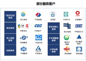 雙百行動(dòng)咨詢服務(wù)產(chǎn)品手冊(cè) 賦能?chē)?guó)企改革，驅(qū)動(dòng)價(jià)值提升